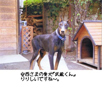 ��������̈��������N