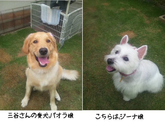 �O�J����̈���